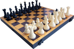 Городской шахматный турнир "Белая ладья"